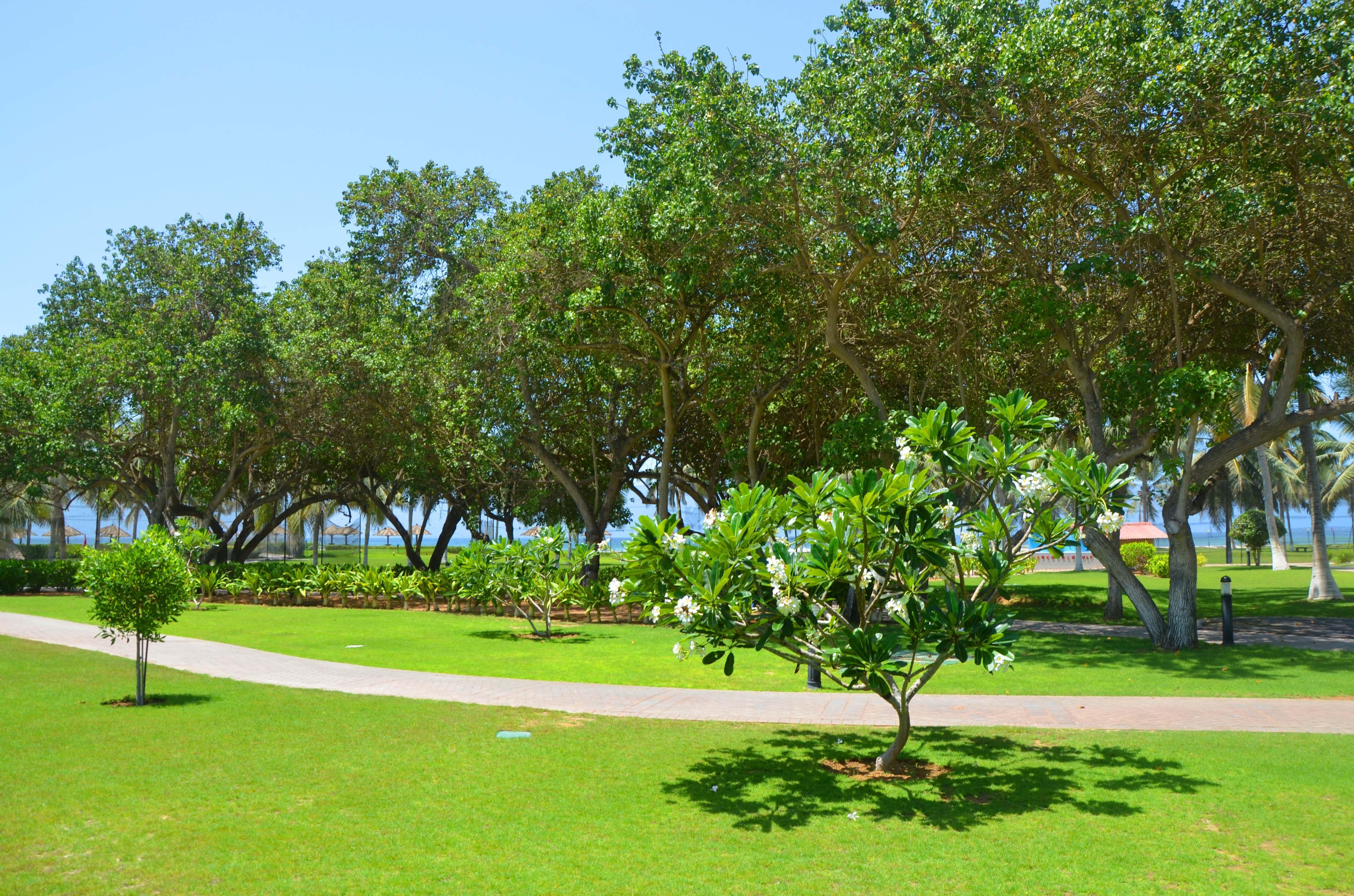 Crowne Plaza Resort Salalah, an IHG Hotel Esterno foto Al-Shaab Park